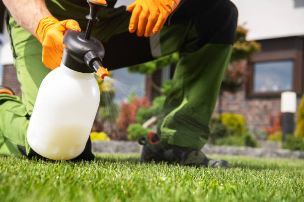 Best Mosquito Control Services  in Takoma Park, MD