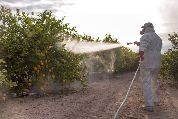 Professional Pest Control in Takoma Park, MD