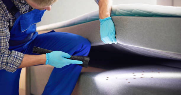 Best Termite Control Services  in Takoma Park, MD