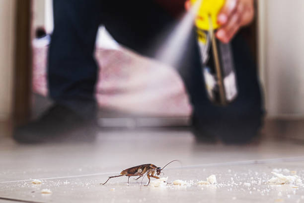 Best Local Pest Control Services  in Takoma Park, MD
